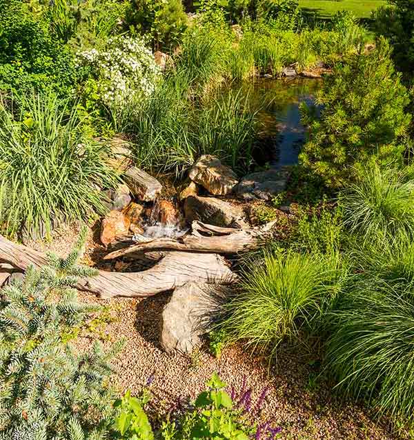 Denver Botanic Gardens - Chatfield Farms
