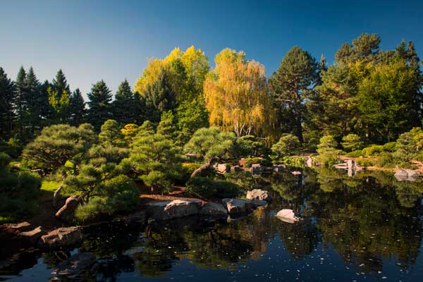 Denver Botanic Gardens - Japanese Garden - Islands