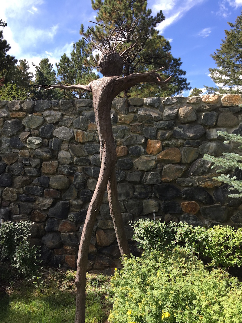 Denver Botanic Gardens - Human Nature - Jaunty Hornbeam