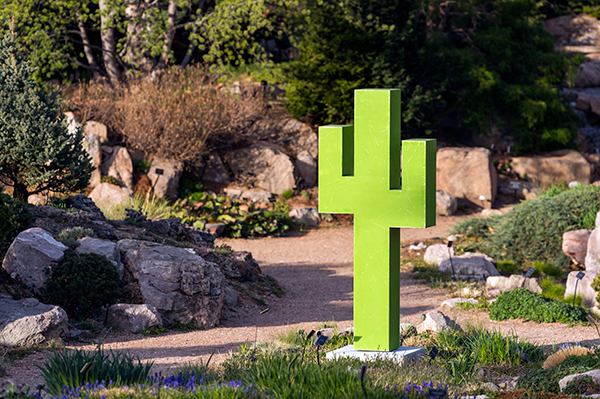 Denver Botanic Gardens - Mike Whiting - Cactus